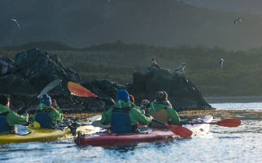 Kayaking Magellan Strait