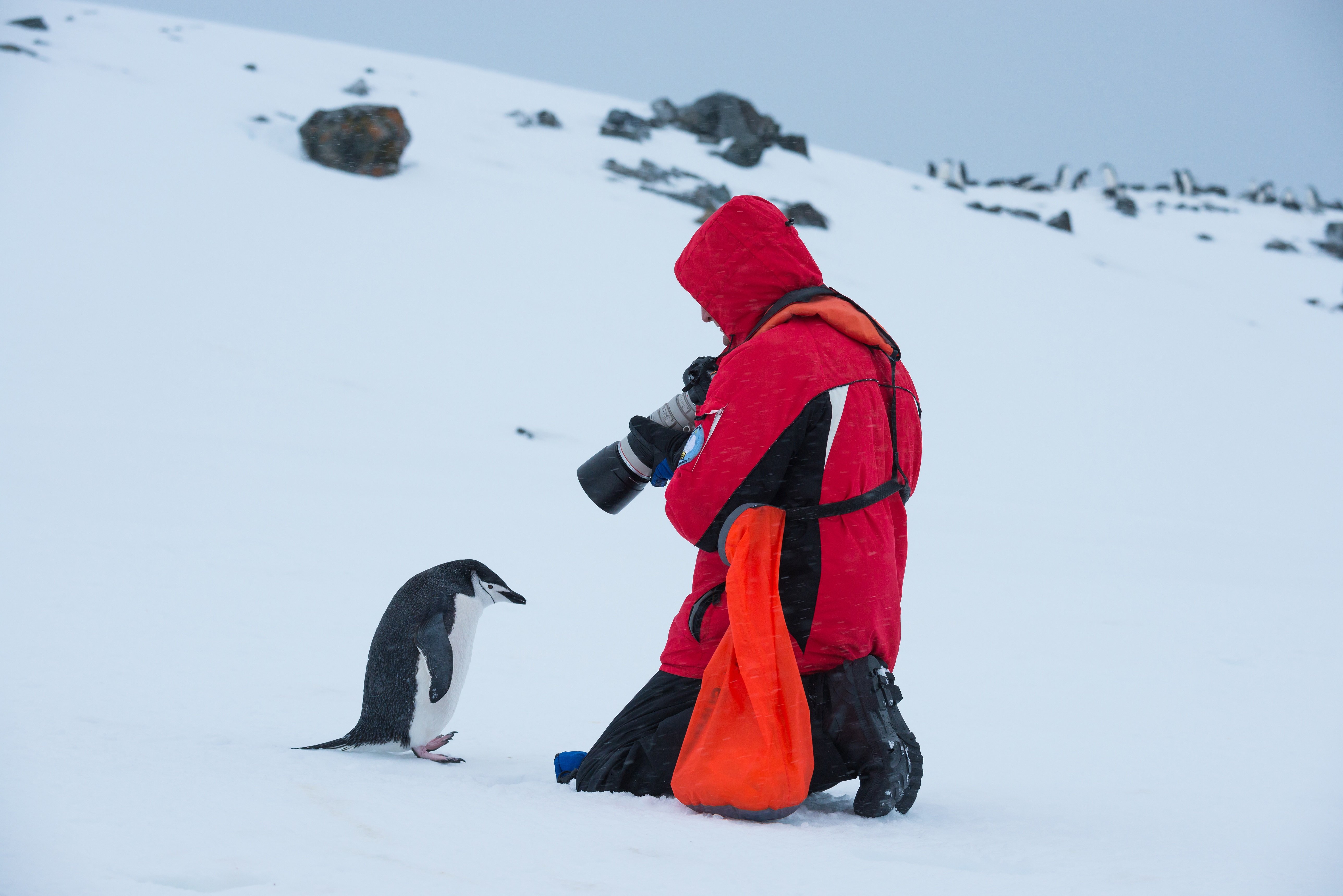 photographer with penguin