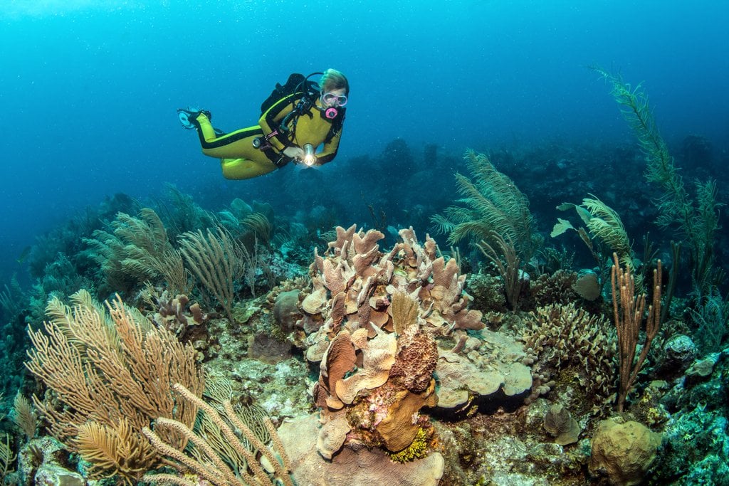 belize-coral-reef