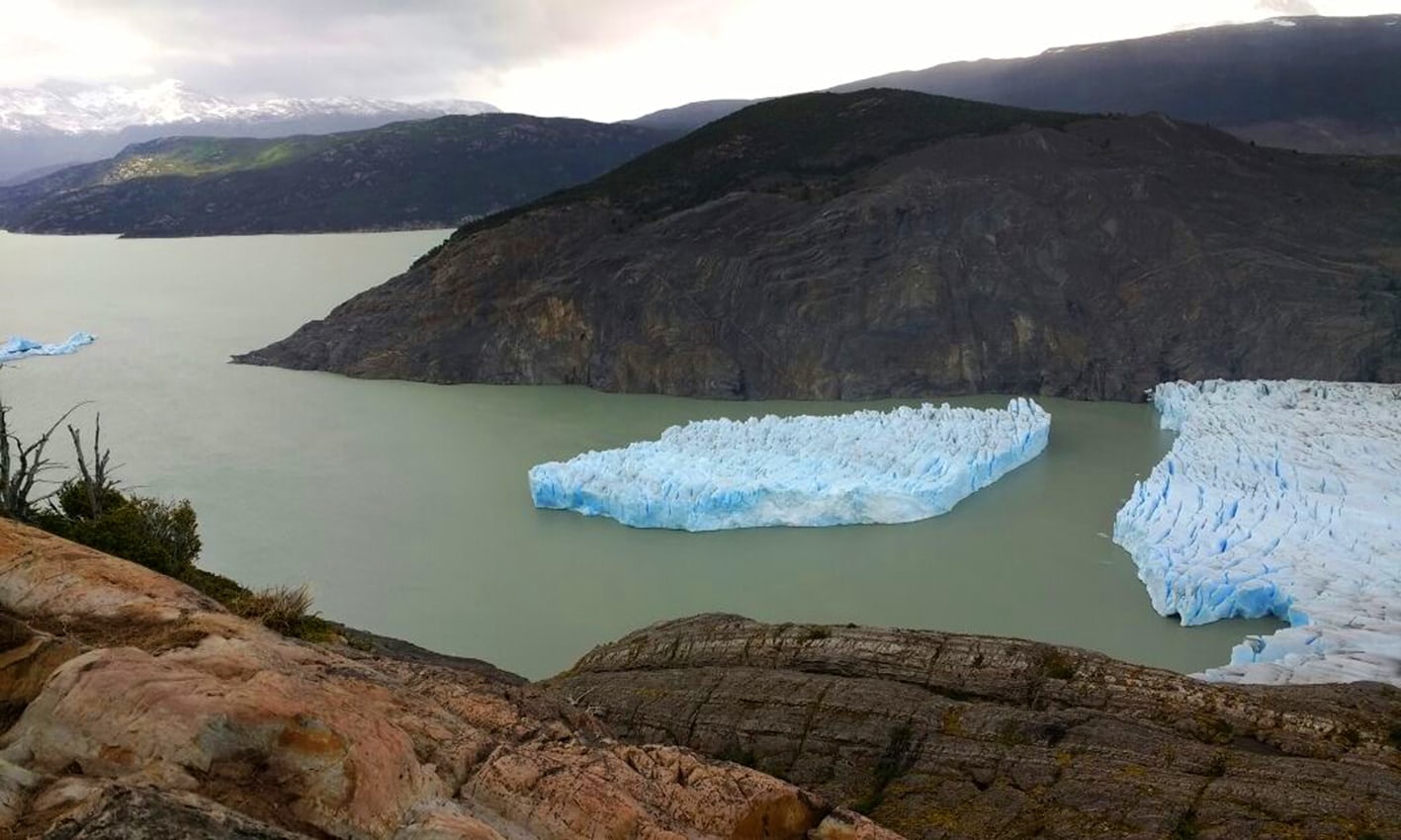 sectioning of grey glacier