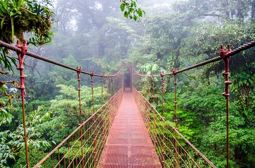 monteverde hanging bridge