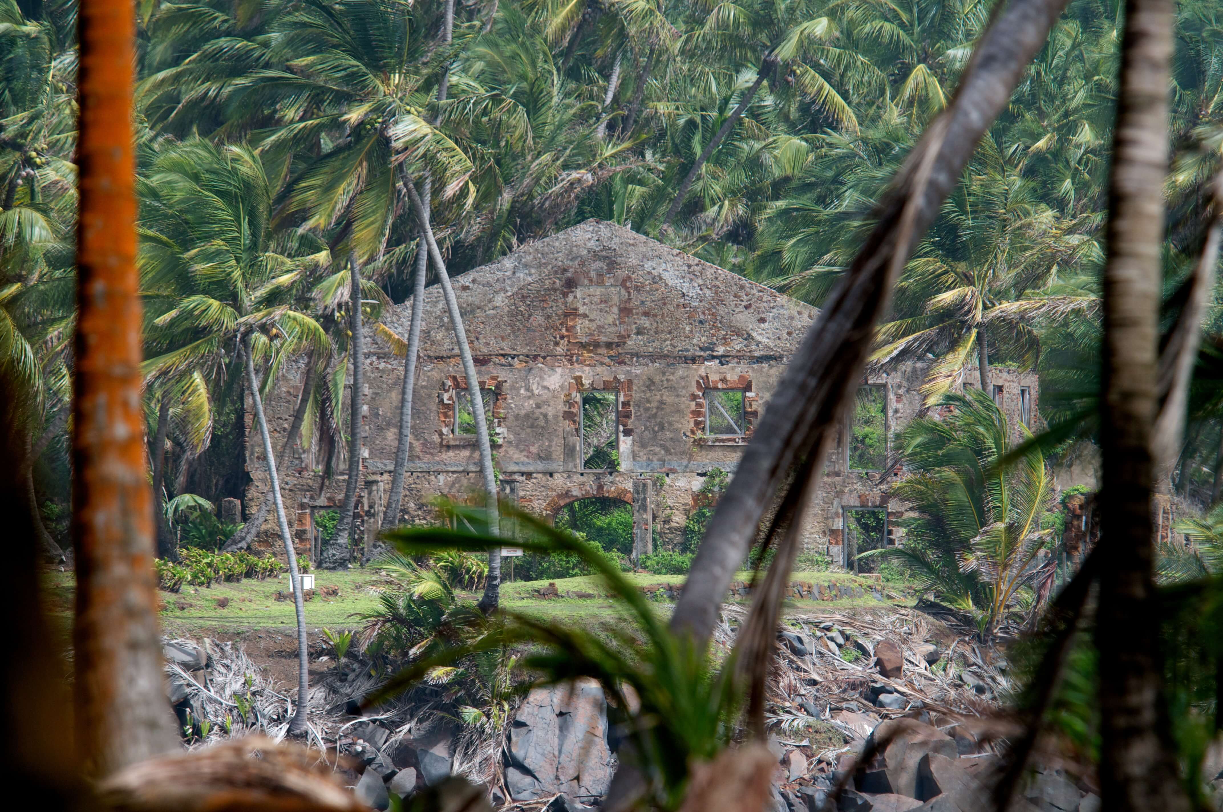 wildernessexplorers-ilesdusalut-frenchguiana-008