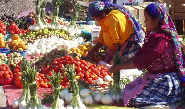 journey mexico oaxaca-market