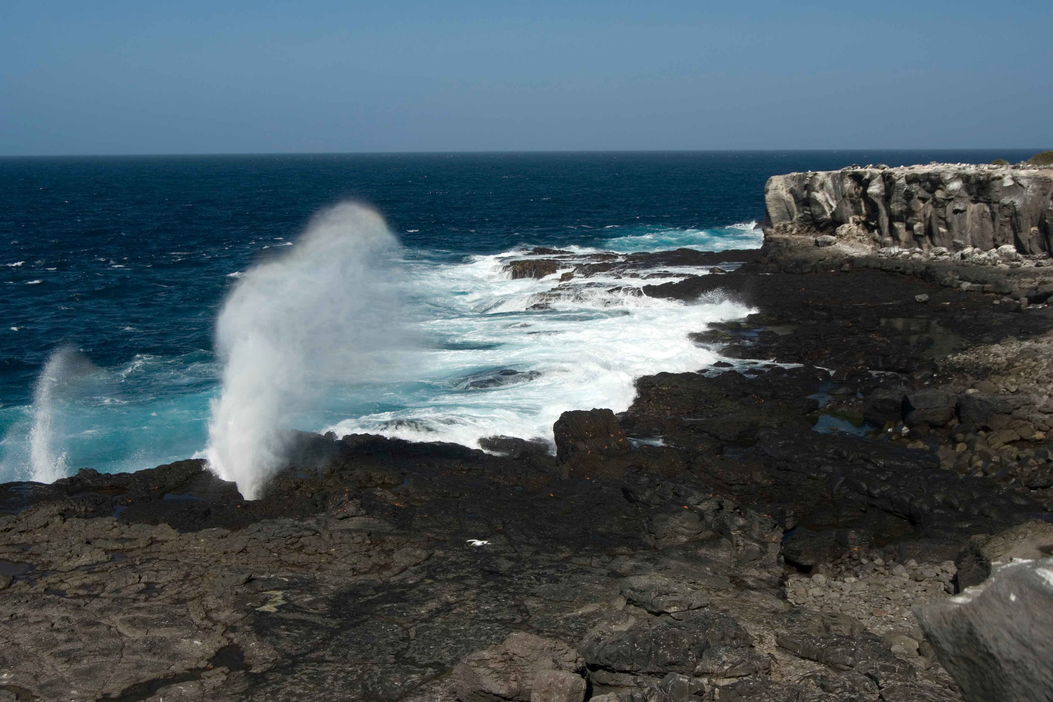 galapagos_ktpartners_española island shore