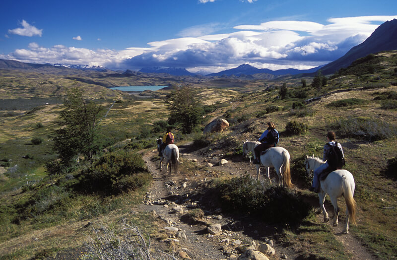 patagonia_las torres_horseriders landscape 