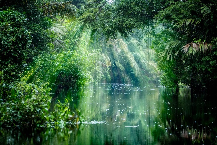 tortuguero2shutterstock_403048345