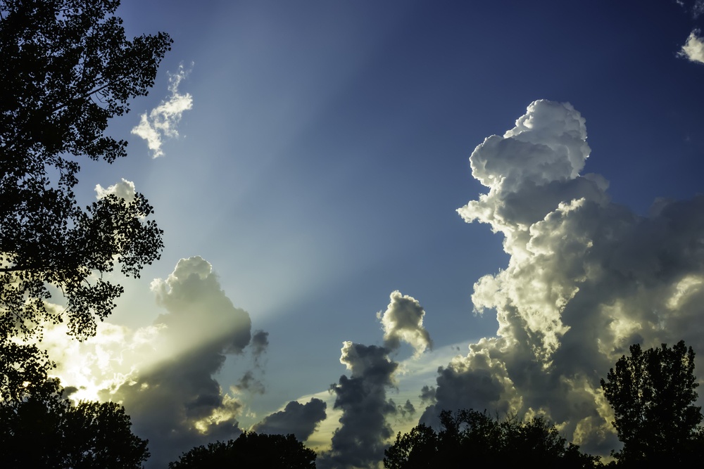 Transitional light show on a summer evening Crepuscular rays light up a partly cloudy sky, with trees in silhouette, July in northern Illinois